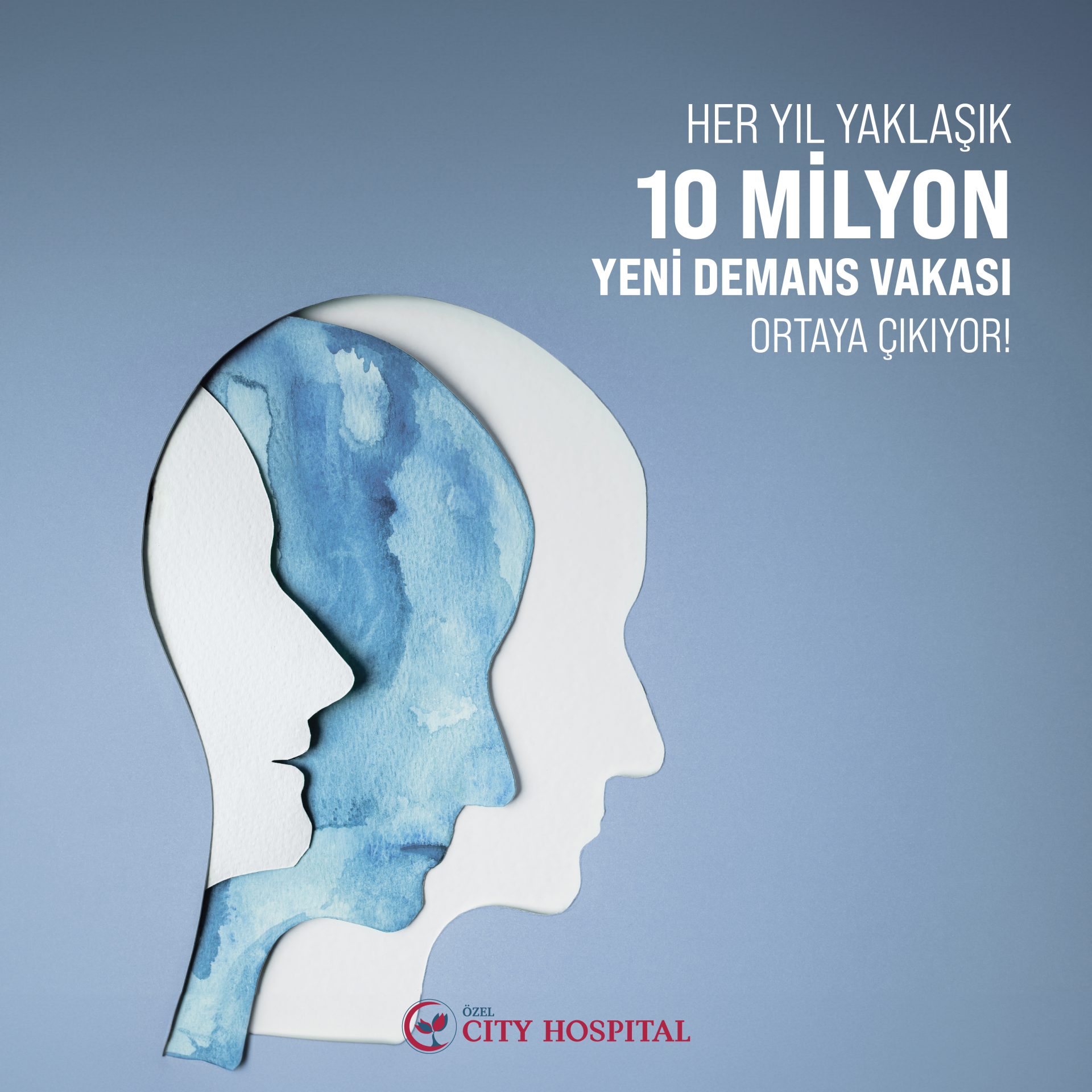 İş görseli 9