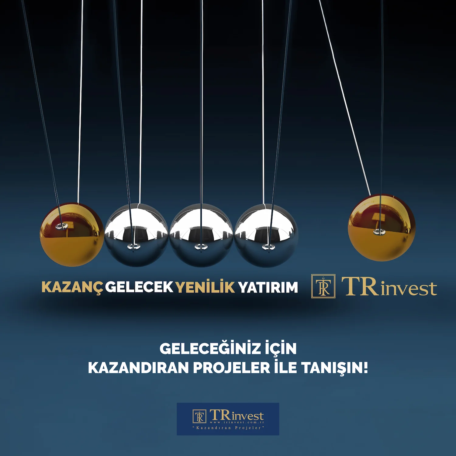 İş görseli 41
